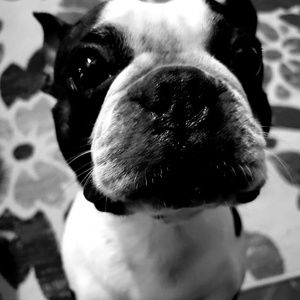 Meet your Posher, Diana